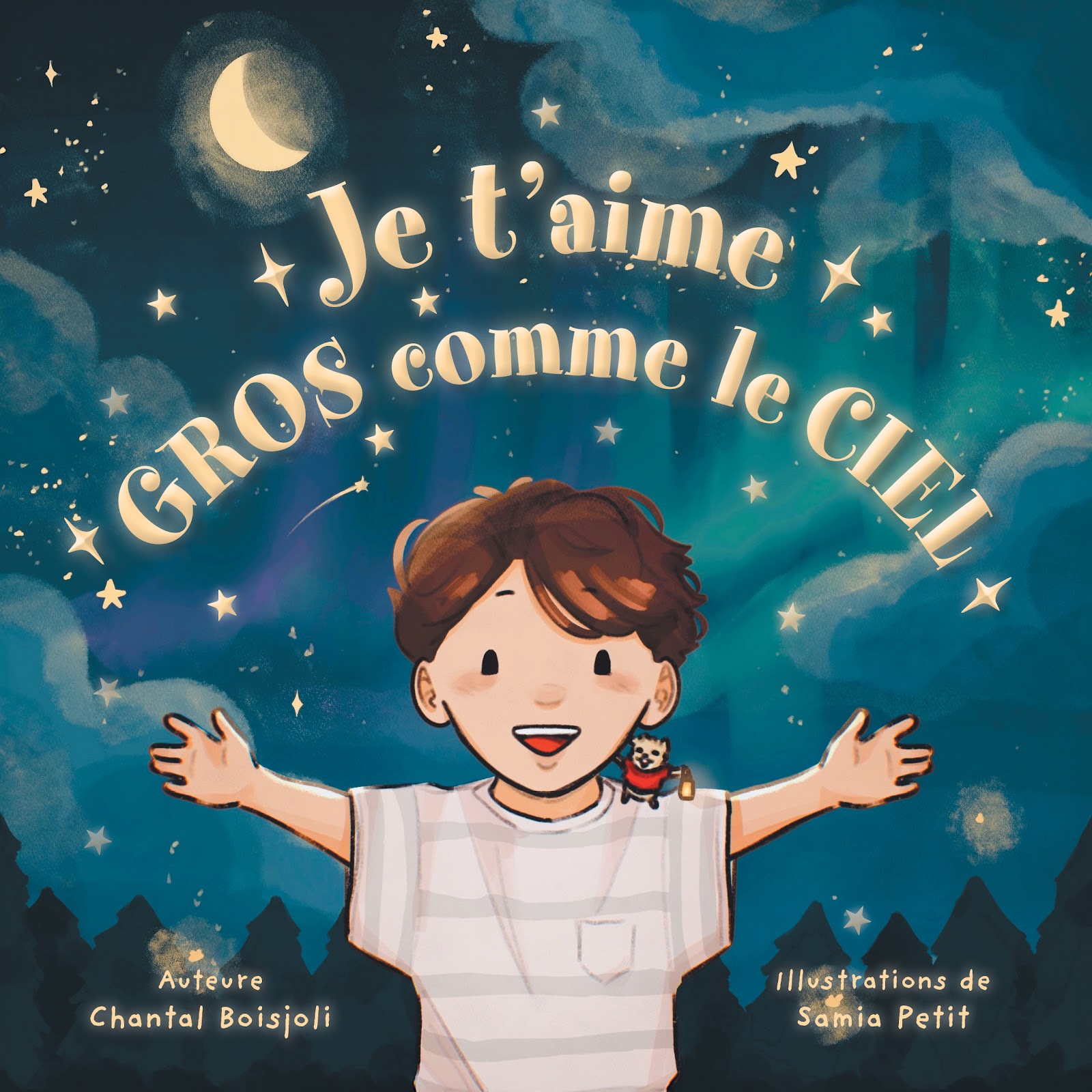 Cover of Je t'aime gros comme le ciel by Chantal Boisjoli